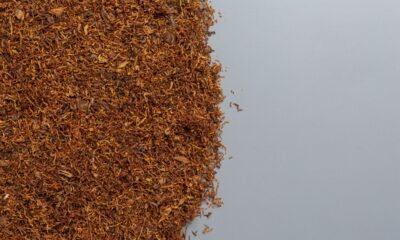 Tendências do varejo de tabacarias em 2026