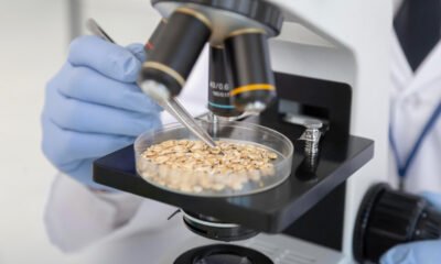 Primeira fábrica de fermentação de micélio em larga escala da América Latina é inaugurada