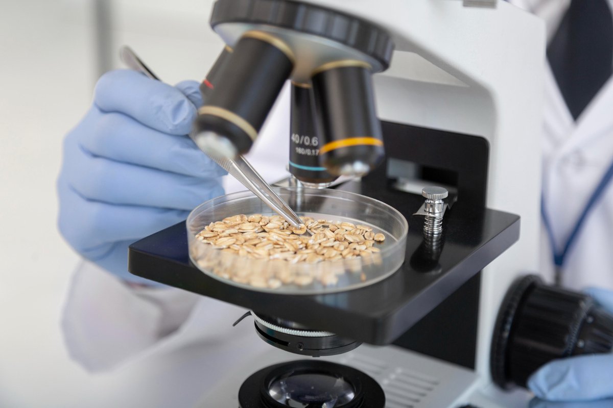 Primeira fábrica de fermentação de micélio em larga escala da América Latina é inaugurada