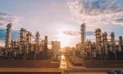 Inpasa recruta José Olympio para montar governança