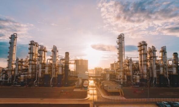 Inpasa recruta José Olympio para montar governança