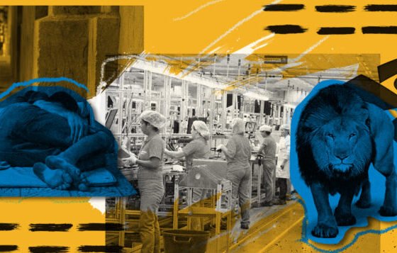 “Brasil precisa atacar o fiscal, crescer e incluir ao mesmo tempo”